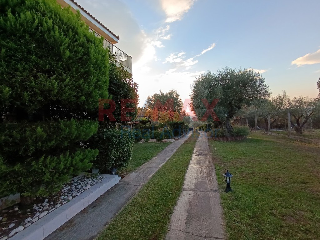 Συγκρότημα διαμερισμάτων 510 τ.μ. προς πώληση, Κέντρο Ωρωπού