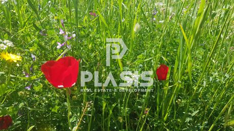 Οικόπεδο 1.297τ.μ. για πώληση-Μαραθώνας