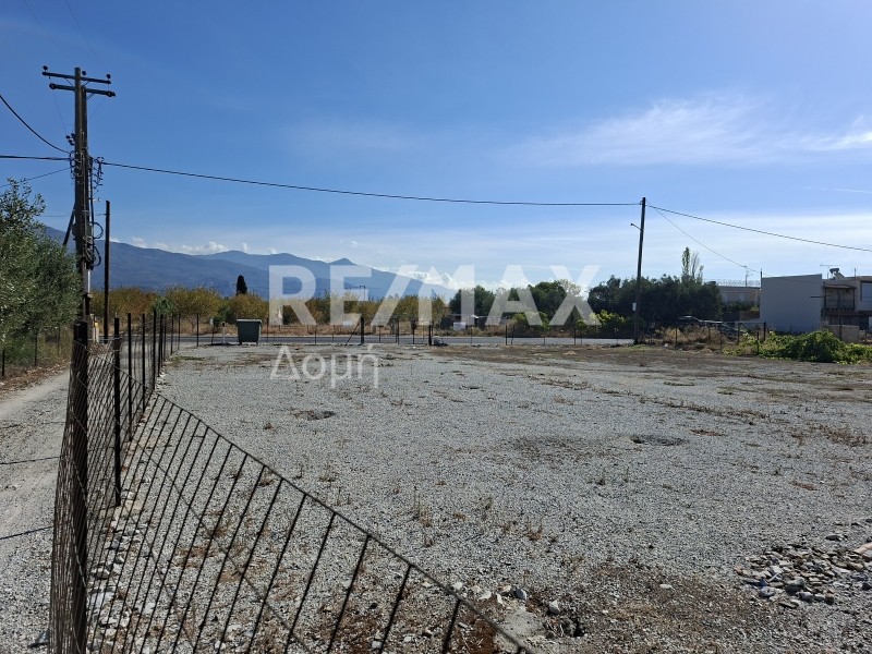 Αγροτεμάχια 935 τ.μ. προς ενοικίαση, Νέες Παγασές