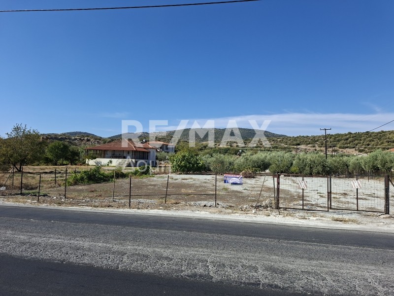Αγροτεμάχια 935 τ.μ. προς ενοικίαση, Νέες Παγασές