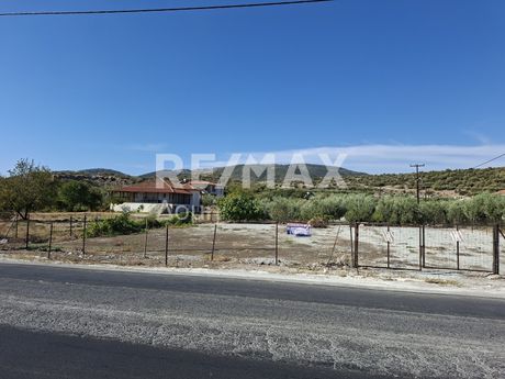 Αγροτεμάχια 935τ.μ. για ενοικίαση-Βόλος » Νέες παγάσες