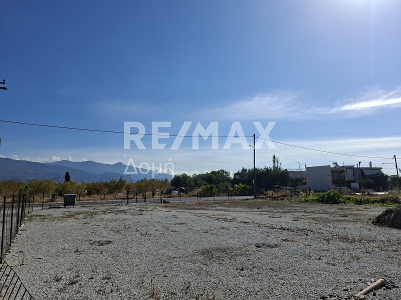 Αγροτεμάχια 935 τ.μ. προς ενοικίαση, Νέες Παγασές