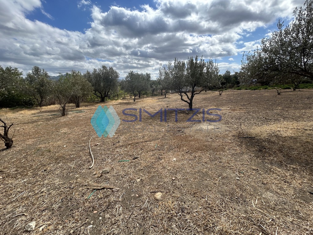 Land plot 2.500 sqm for sale, Vounoi