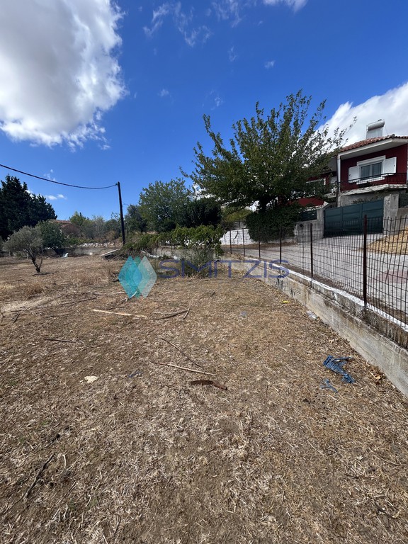Land plot 2.500 sqm for sale, Vounoi