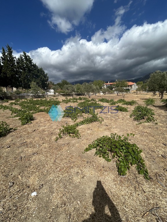 Land plot 2.500 sqm for sale, Vounoi