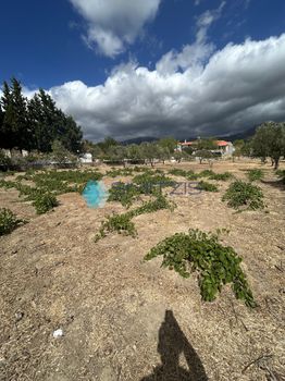 Land plot 2.500sqm for sale-Dirfis