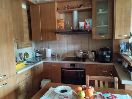Studio / γκαρσονιέρα 46τ.μ. για πώληση-Νέος κόσμος » Κυνοσάργους