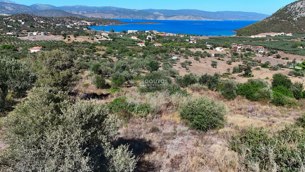 Οικόπεδο 4.009 τ.μ. προς πώληση, Κουβέρτα