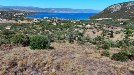 Οικόπεδο 4.009 τ.μ. προς πώληση