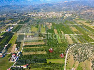 Αγροτεμάχια 3.000 τ.μ. για πώληση, Αργολίδα, Μυκήνες-thumb-1