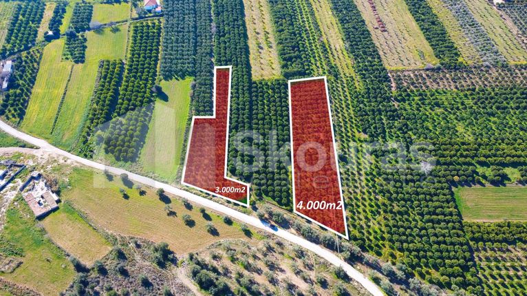 Αγροτεμάχια 3.000 τ.μ. για πώληση, Αργολίδα, Μυκήνες