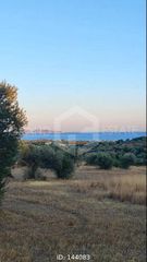Αγροτεμάχια 75.000 τ.μ. για πώληση