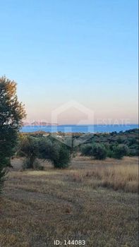 Parcel 75.000sqm for sale-Kranidi » Petrothalassa