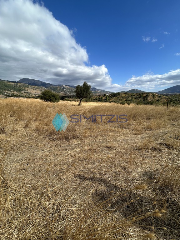 Αγροτεμάχια 3.500 τ.μ. προς πώληση, Βούνοι