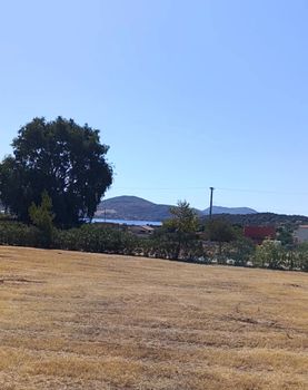 Οικόπεδο 2.350τ.μ. για πώληση-Ανάβυσσος » Μαύρο λιθάρι