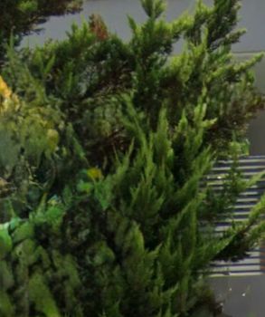 Μεζονέτα 107τ.μ. για πώληση-Ελληνικό » Άνω ελληνικό