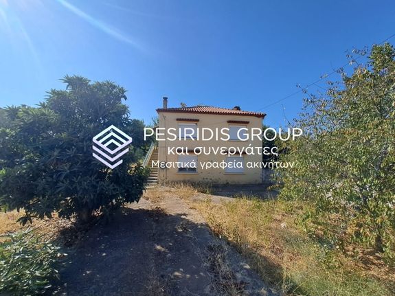 Detached home 140 sqm for sale, Rodopi Prefecture, Sapes