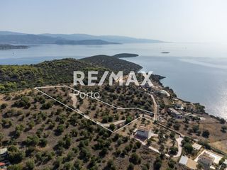 Αγροτεμάχια 5.432 τ.μ. προς πώληση, Κουβέρτα-thumb-6