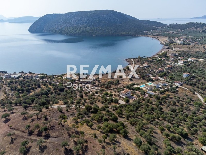 Αγροτεμάχια 5.432 τ.μ. πρός πώληση, Αργολίδα, Ερμιόνη
