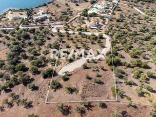 Αγροτεμάχια 5.432 τ.μ. προς πώληση, Κουβέρτα-thumb-3