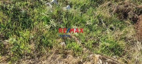 Οικόπεδο 460τ.μ. για πώληση-Πεντέλη