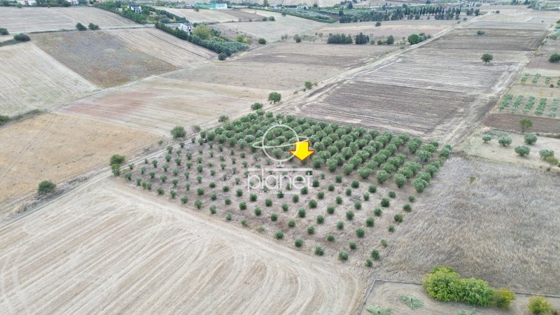 Αγροτεμάχια 8.400 τ.μ. προς πώληση, Τρίλοφο Θέρμης