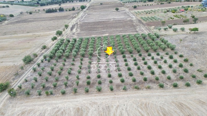 Αγροτεμάχια 8.400 τ.μ. προς πώληση, Τρίλοφο Θέρμης
