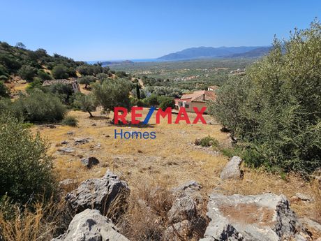 Οικόπεδο 1.089τ.μ. για πώληση-Βόρεια κυνουρία