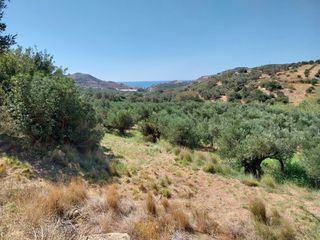 Αγροτεμάχια 8.720 τ.μ. για πώληση