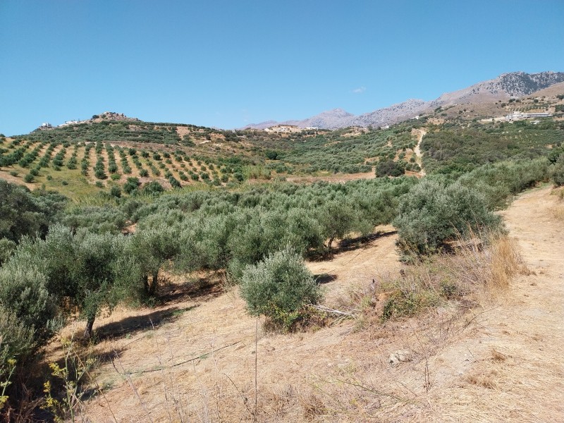 Αγροτεμάχια 8.720 τ.μ. πρός πώληση, Ν. Ρεθύμνου, Φοινίκας