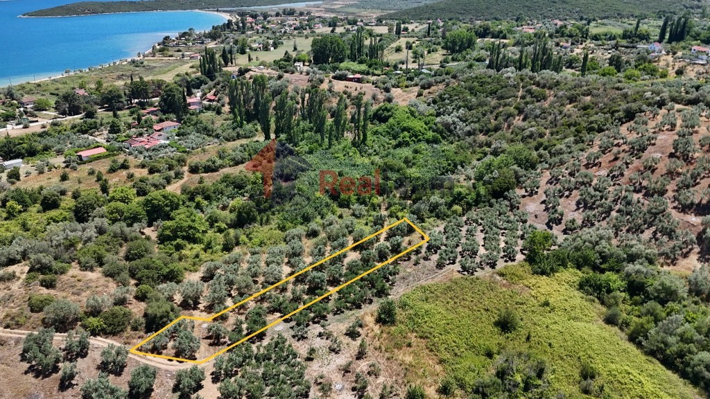 Αγροτεμάχια 1.200 τ.μ. προς πώληση, Άγιοι Απόστολοι Πτελεού