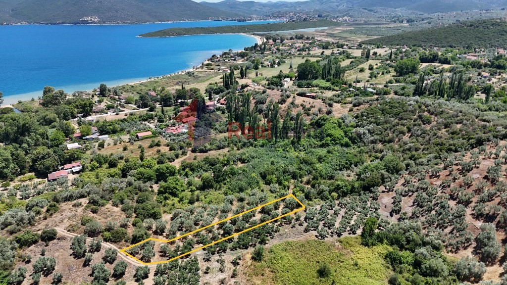 Αγροτεμάχια 1.200 τ.μ. προς πώληση, Άγιοι Απόστολοι Πτελεού