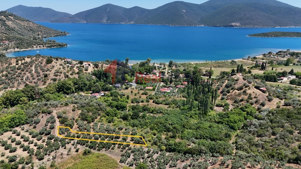 Αγροτεμάχια 1.200 τ.μ. προς πώληση, Άγιοι Απόστολοι Πτελεού