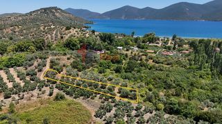 Αγροτεμάχια 1.200 τ.μ. για πώληση