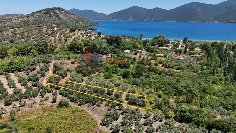 Αγροτεμάχια 1.200 τ.μ. για πώληση, Μαγνησία, Πτελεός