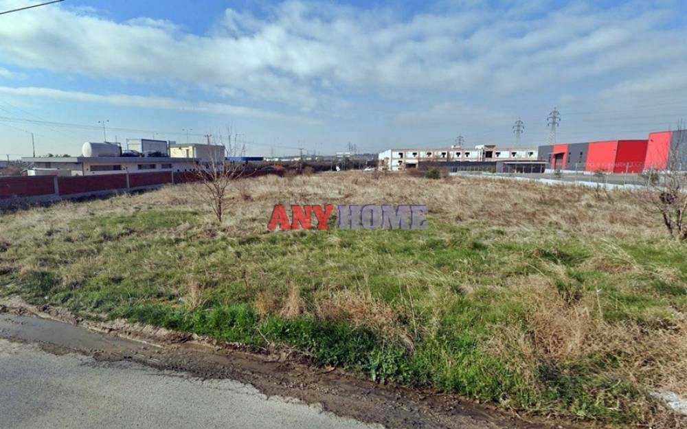 Αγροτεμάχια 6.800 τ.μ. προς πώληση, Κέντρο Ευκαρπίας