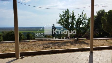 Μονοκατοικία 60τ.μ. για ενοικίαση-Σκιλούντα » Ράχες