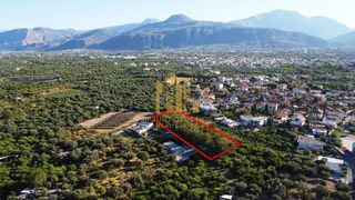 Οικόπεδο 4.040 τ.μ. για πώληση, Αχαΐα, Αίγιο-thumb-9