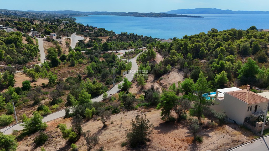 Οικόπεδο 410 τ.μ. προς πώληση, Βερβερούδα