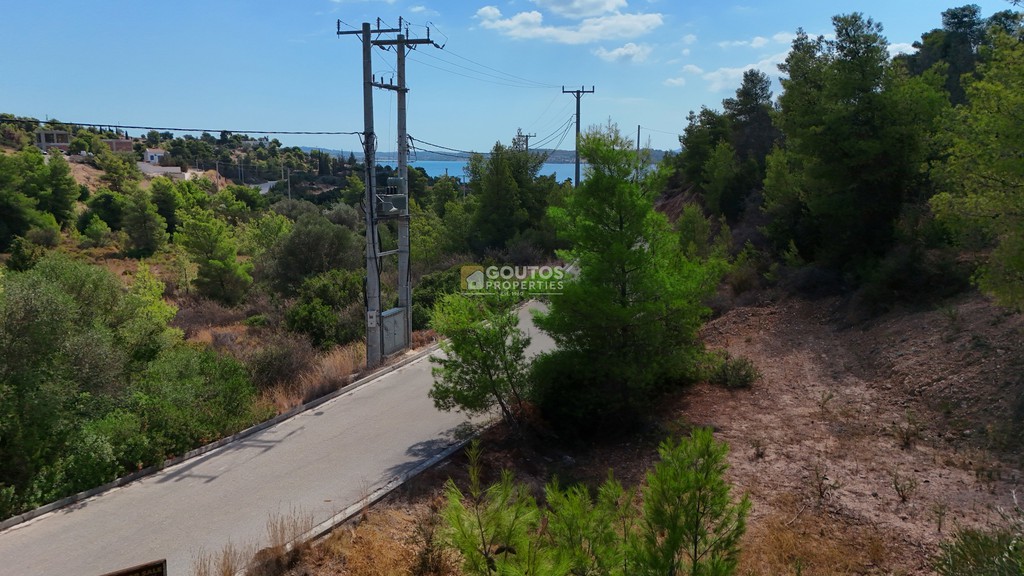Οικόπεδο 410 τ.μ. προς πώληση, Βερβερούδα