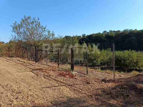 Αγροτεμάχια 5.750τ.μ. για πώληση-Μεθώνη » Μακρύγιαλος