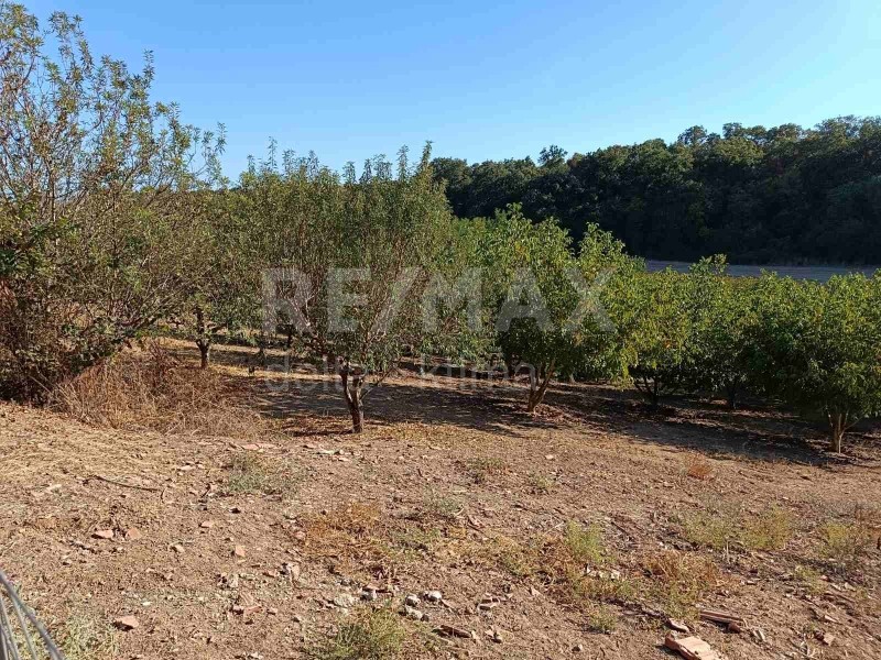 Αγροτεμάχια 5.750 τ.μ. προς πώληση, Μακρύγιαλος Μεθώνης