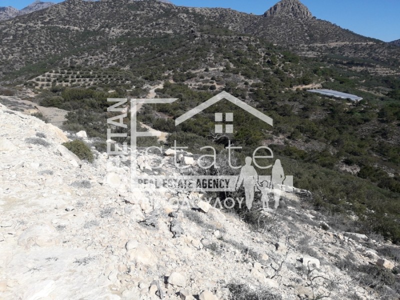 Αγροτεμάχια 19.000 τ.μ. πρός πώληση, Ν. Λασιθίου, Ιεράπετρα