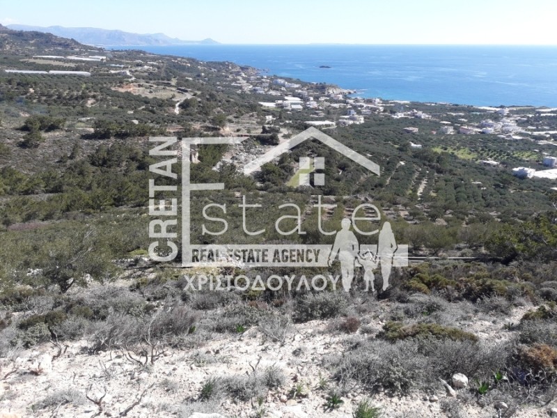 Αγροτεμάχια 19.000 τ.μ. πρός πώληση, Ν. Λασιθίου, Ιεράπετρα