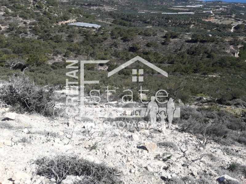 Αγροτεμάχια 19.000 τ.μ. πρός πώληση, Ν. Λασιθίου, Ιεράπετρα