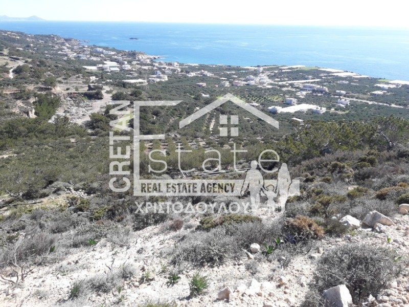 Αγροτεμάχια 19.000 τ.μ. πρός πώληση, Ν. Λασιθίου, Ιεράπετρα