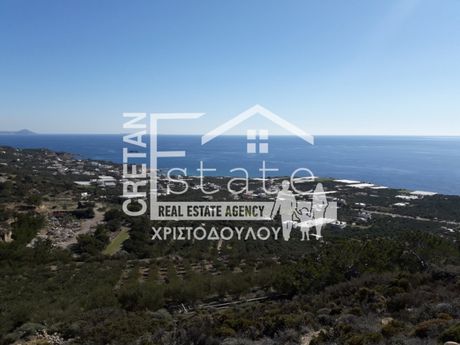 Αγροτεμάχια 19.000τ.μ. για πώληση-Ιεράπετρα » Φέρμα