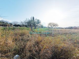 Οικόπεδο 1.000 τ.μ. προς πώληση, Γηροκομείο Πάτρας-thumb-4