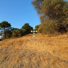 Οικόπεδο 1.500 τ.μ. για πώληση