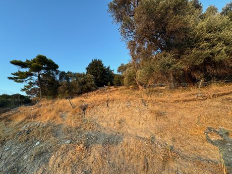 Οικόπεδο 1.500τ.μ. για πώληση-Λάμπη